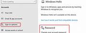 Windows Phone Lock Screen Password