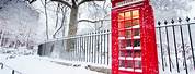 Winter Wallpaper with Red Telephone Box