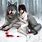 Winter Wolf Girl Anime