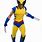 Wolverine Costume Adult