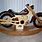 Wood Rocking Motorcycle