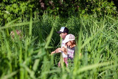 Working group discusses lack of childcare options in the Chilkat Valley - Chilkat Valley News
