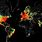 World Internet Coverage Map