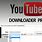 YouTube Downloader Pro