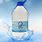 Zamzam Water Bottle