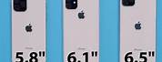 iPhone 11 Measurements Size