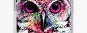 iPhone 11 Pro Max Hard Case Owl