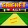 iPhone 13 Mini Cricket