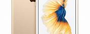iPhone 6 S Plus Back Gold