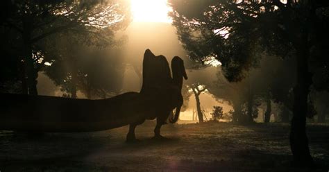 We Were Wrong About Spinosaurus | WKAR Public Media