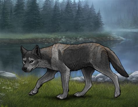 New Largest Puppy |:| Wolvden