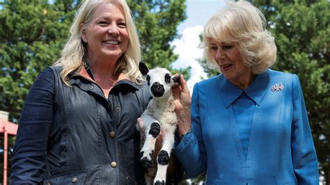 King Charles, Queen Camilla befriend a lamb on final day of US visit