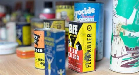 Get Ahead of Spring Pests: Why February is the Perfect Time - Barnes ...