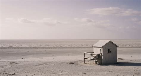 Passion versus Paycheck → Area → Sustainability