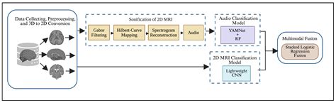 A Dual Stream Deep Learning Framework for Alzheimer’s Disease Detection ...