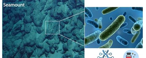 National Centre for Coastal Research, Ministry of Earth Sciences ...