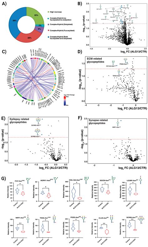 Network Hypoactivity in ALG13-CDG: Disrupted Developmental Pathways and ...
