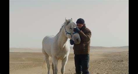 A Spiritual Death: To Kill a Mongolian Horse — NTU Film Society