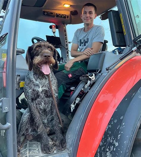 Europe's fertilizer crisis: Prices surge due to Iran war and dependence ...