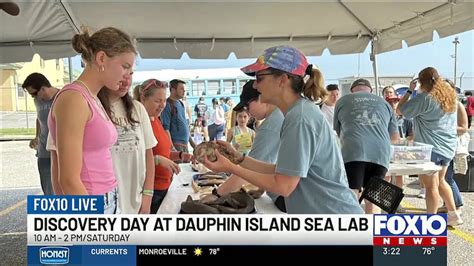 New video shows aftermath of Gulf Shores plane crash sending 2 to hospital