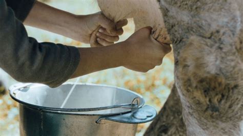 Autumn Blood (2014) Photo Gallery | AceShowbiz