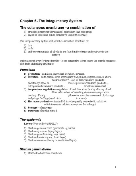 Chapter 5: The Integumentary System Overview - 2020 Lecture Notes - Studocu