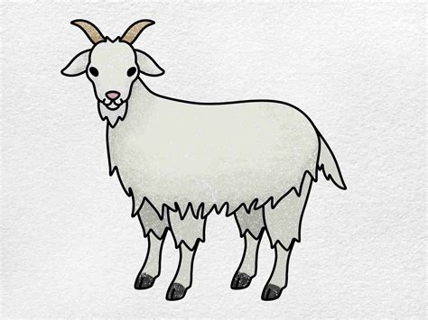 How to Draw a Goat Step by Step ⋆ ctf.bnsf.com