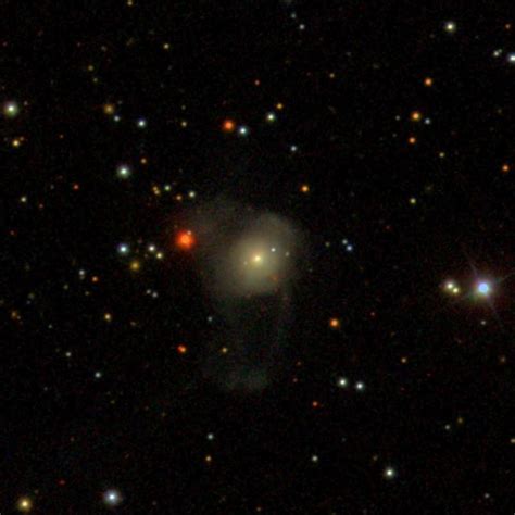 NGC 6219 - Wikipedia