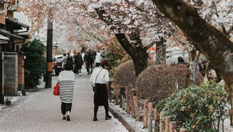 KYORAN YUGAO (Kyoto) - Specialty Hotel Reviews & Photos - Tripadvisor