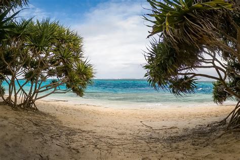 Ciguatera fish poisoning reported in Vanuatu. - Healthy Travel