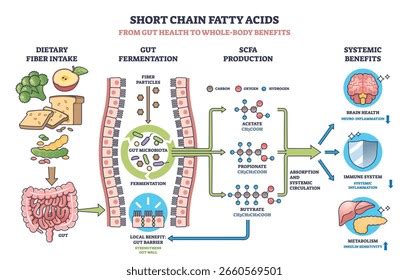 28,644 Наварно Stock Vectors and Vector Art | Shutterstock