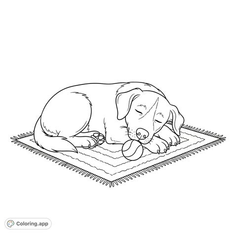 Sleeping Happy Dog on Rug - Coloring.app