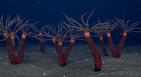 450-Million-Year-Old Fossils Reveal Strange, Tube-Dwelling Jellyfish Relative | Sci.News