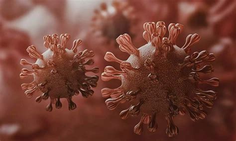 Hantavirus poses no immediate public threat to India: ICMR-NIV Chief