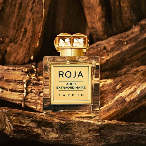 Roja Aoud Extraordinaire Parfum For Men & Women 100 ML – Perfumes by ...