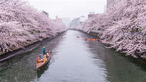 There’s a new rule if you’re applying for a Japan visa from southern ...