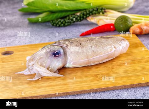 Raw fresh brown wild cuttlefish mollusc Stock Photo - Alamy