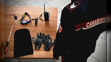 Compie un furto e si nasconde in un cassonetto dei rifiuti, arrestato ...