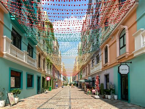 anfíbol in Spanish: Meaning, Usage and Examples | SpanishStep