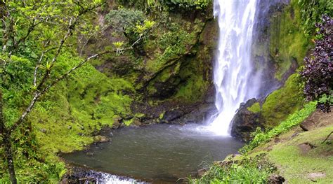 RELAXED BOUTIQUE LIVING IN LUSH GARDENS, PERFECTLY LOCATED IN PLAYAS ...