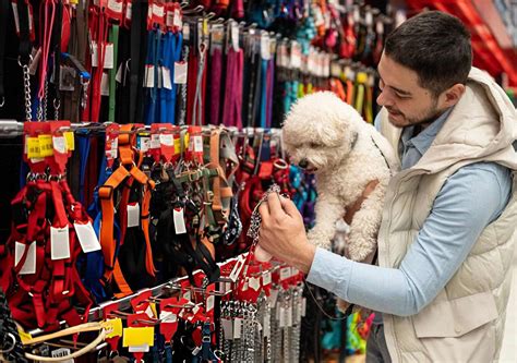 Philippines Pet Care Consulting | YCP Group