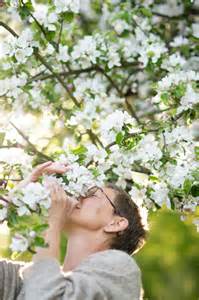 Perbandingan Aspek MBTI Intuitive vs Sensing, Tunjukkan Perbedaan Cara ...