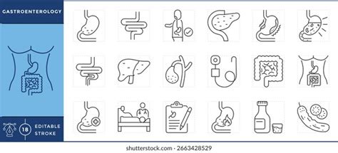 Gastroenterology icons lines, результатов — 2,2 тысячи: изображения ...