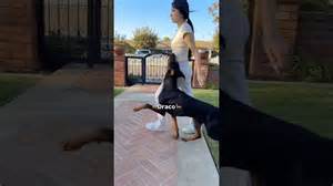 Watch my dogs and their incredible heel work