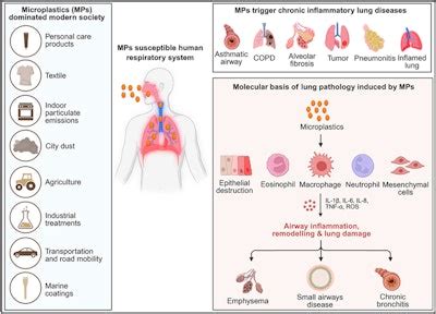 Microplastics can cause lung inflammation, damage | Pulmonary
