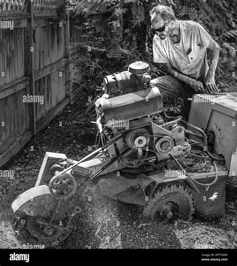 Stump fence Black and White Stock Photos & Images - Alamy