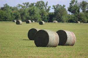 Area Hay Prices - High Plains Journal