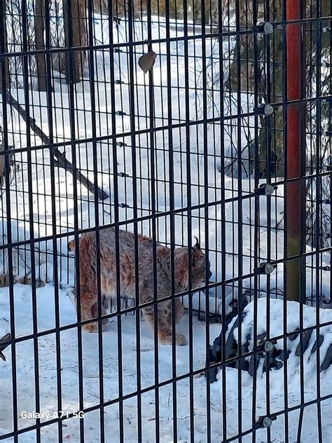 Alaska Zoo, Anchorage, AK: Information, Tickets and Reviews