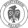 SV Pullach U9-III | BFV