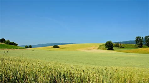 Fundy National Park, NB Weather Forecast, Conditions, and Maps – Yahoo Weather